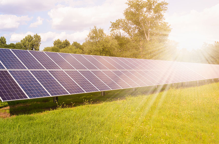 Solar panels mounted ground