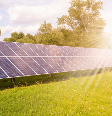 Solar panels mounted ground