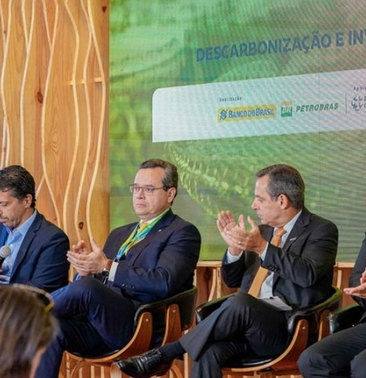 Canal solar governo federal publica decreto que regulamenta mercado de carbono